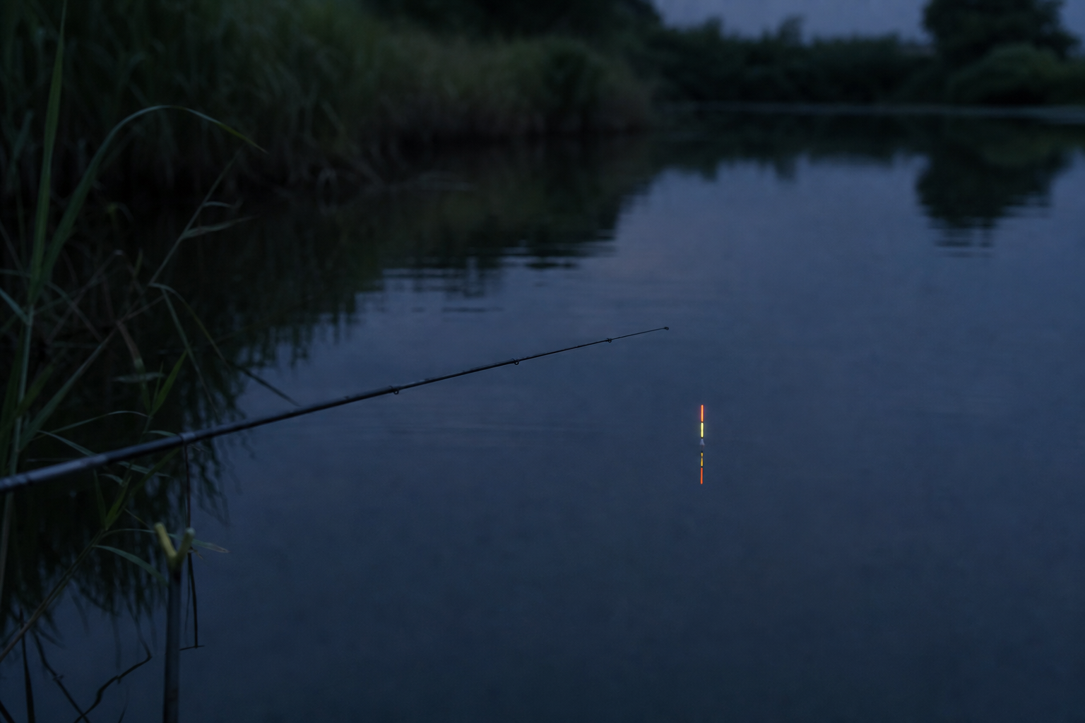 野钓鲫鱼全攻略之调漂教程