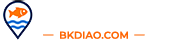 不空钓鱼